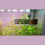 Termómetro Digital LCD Electrónico para Acuario - Imagen 7